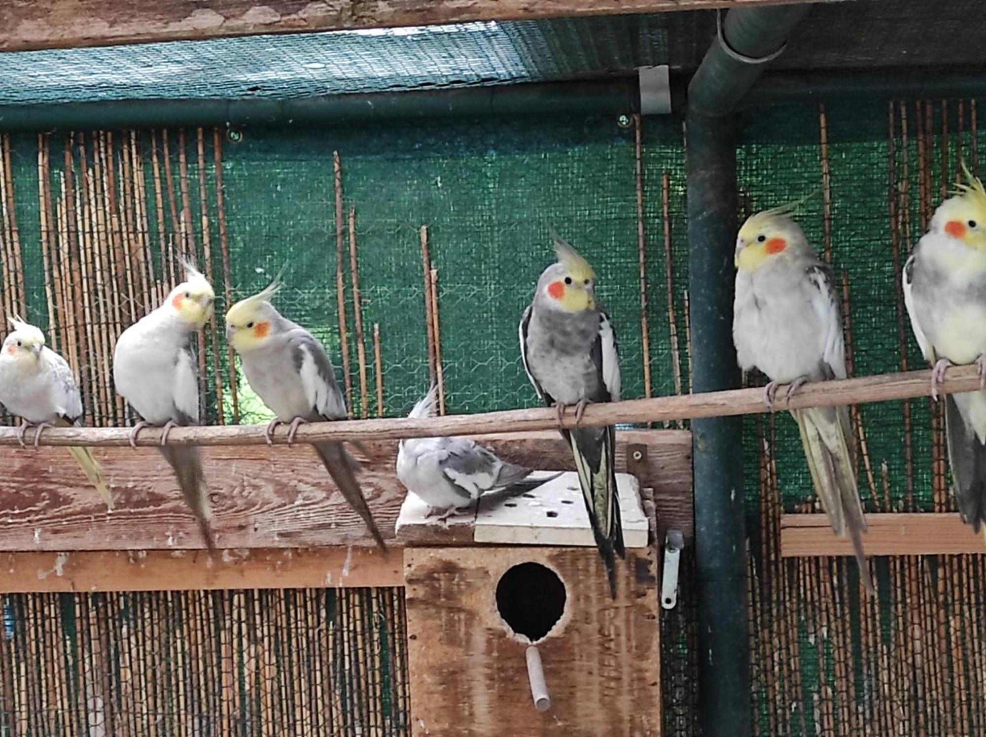 Penzion Kosky Hamr المظهر الخارجي الصورة